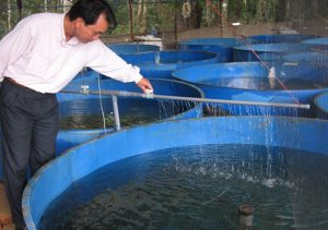 Nguồn nước nuôi cá hồi được xử lý bằng công nghệ Ozone