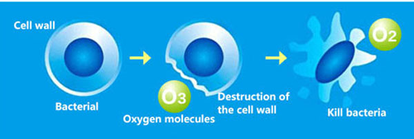Tính oxy hóa mạnh của phân tử ozone giúp oxy hóa mạnh mẽ các chất khác
